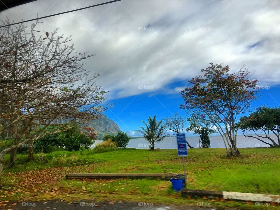 The lovely View from the School Bus Window