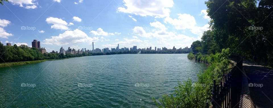 Peace and nature . I took this photo  in Central Park after a long walk. I saw this and it brought me peace and joy. 