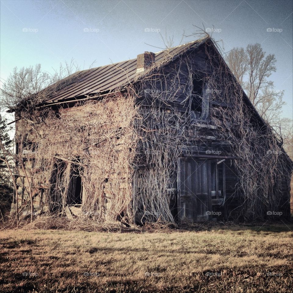 Abandoned barn 