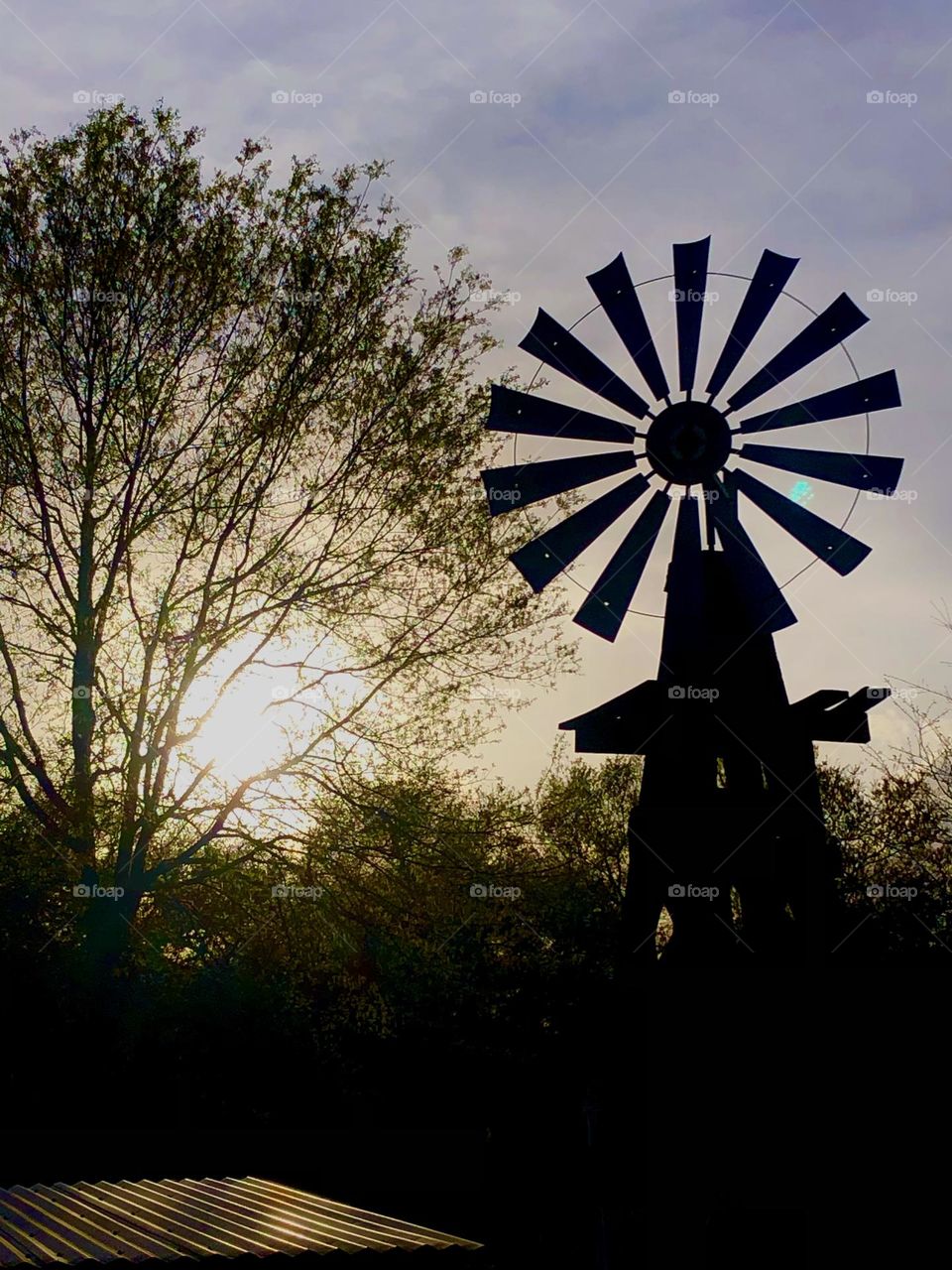 Beautiful sunset on the ranch in Texas… the sun is shining through the trees and casting a dark shadow on the old windmill in the front yard!