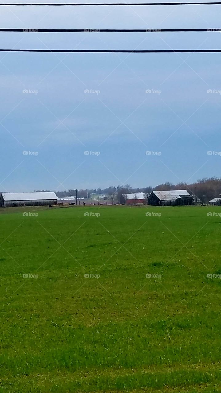 Kentucky farm