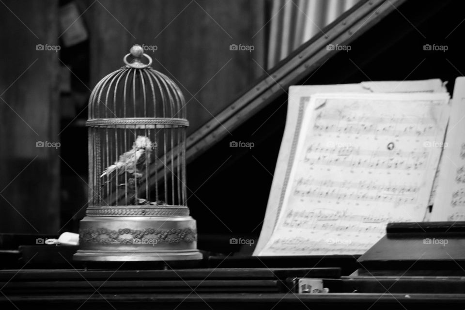 Old piano and singing bird music box