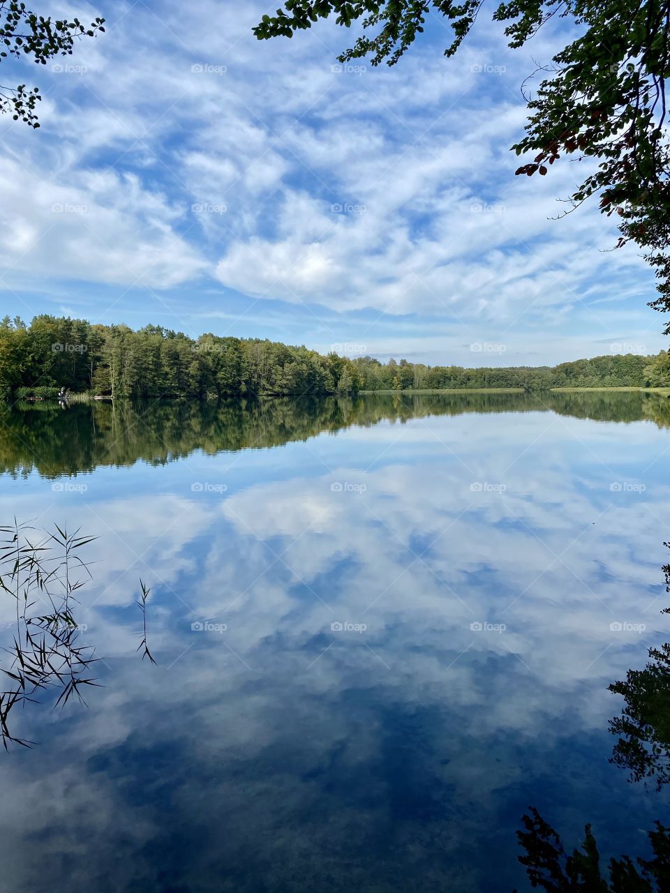 Reflection of clouds in the water.  
