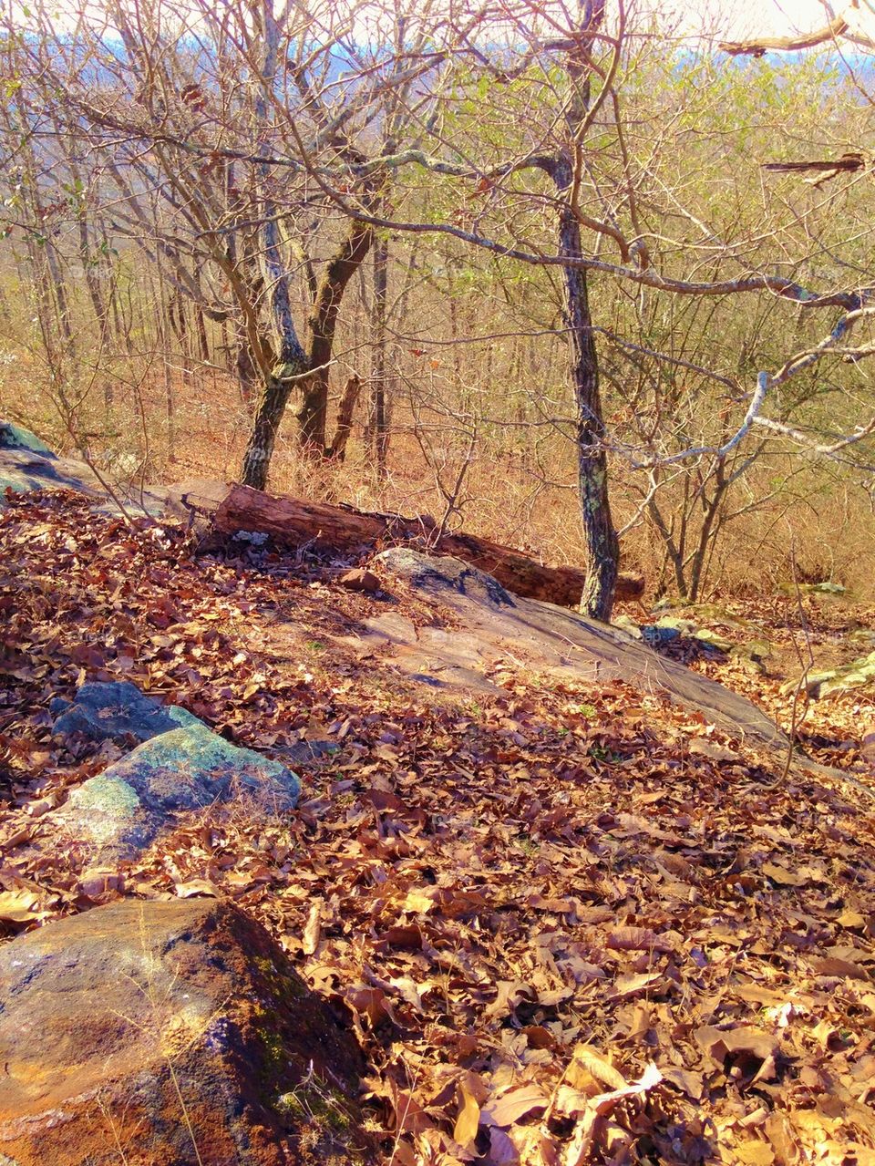 Walking on a mountain trail