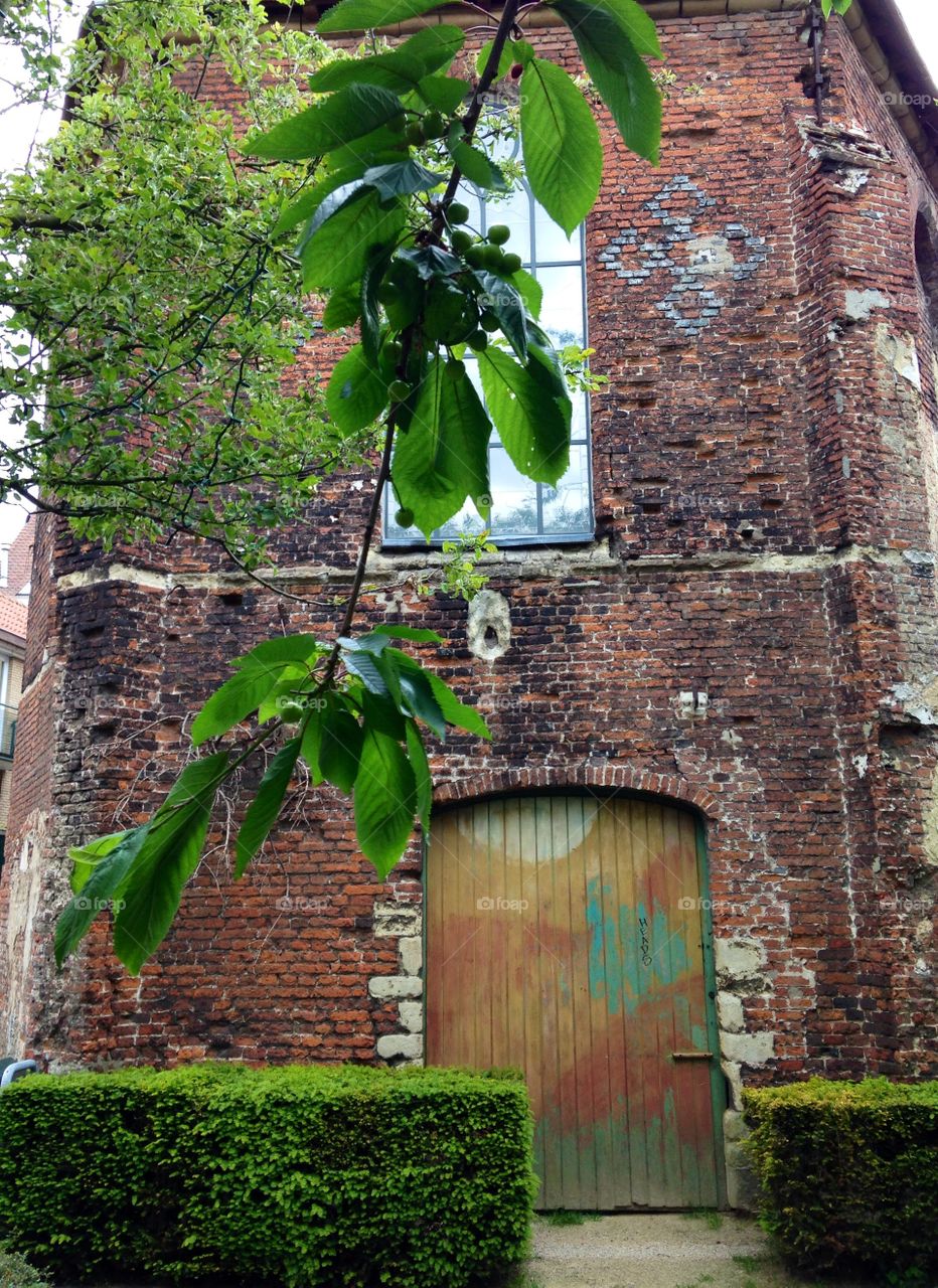 House, Architecture, Wall, Old, Building