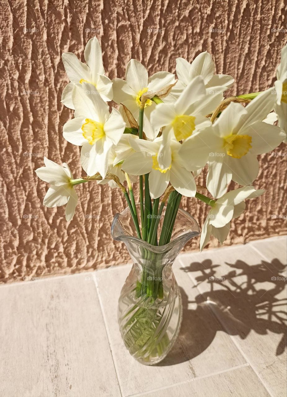 spring flowers in vase on a wall background, sunlight and shadows