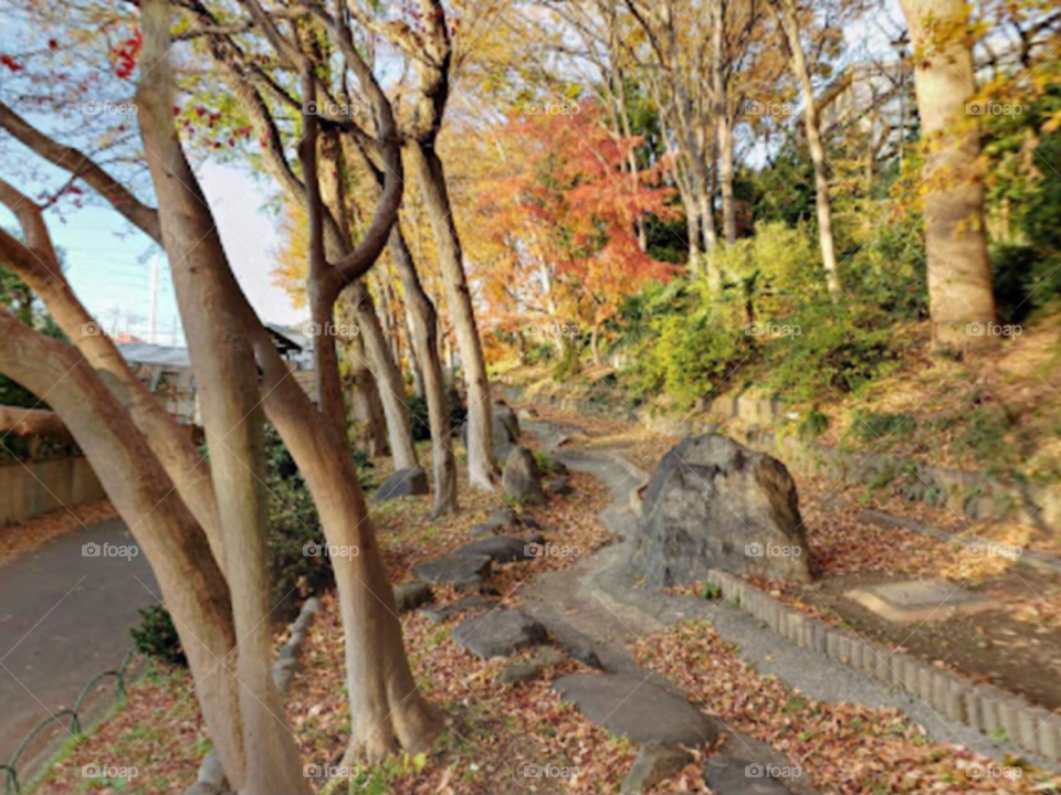 Красивое место Токио 