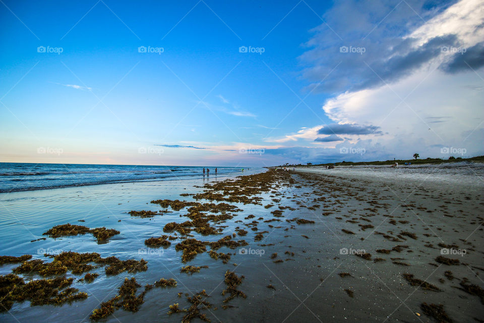 Beach Dawn. Melbourne Beach, FL