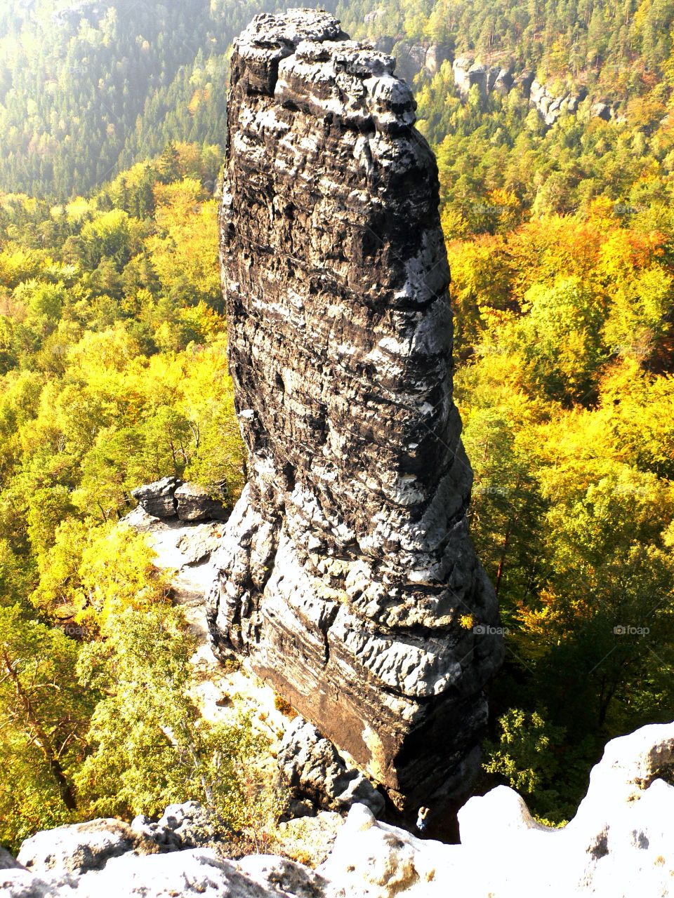Prebischkegel in autumn