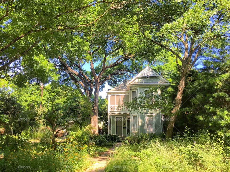 Green house, surrounded by green 