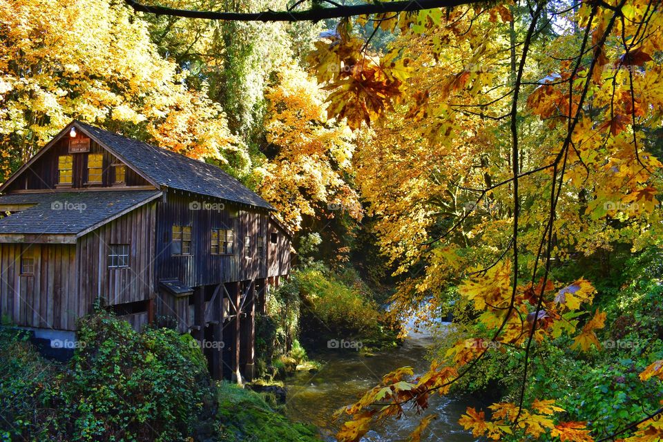 Old Grist Mill Woodland, Washington
