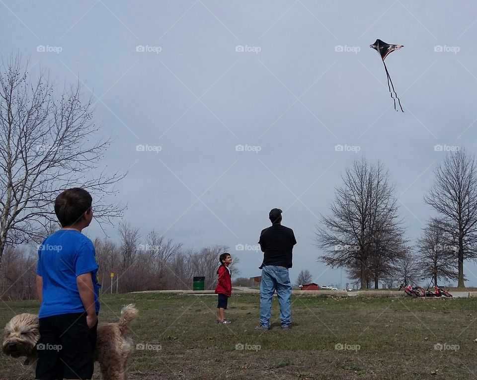go fly a kite