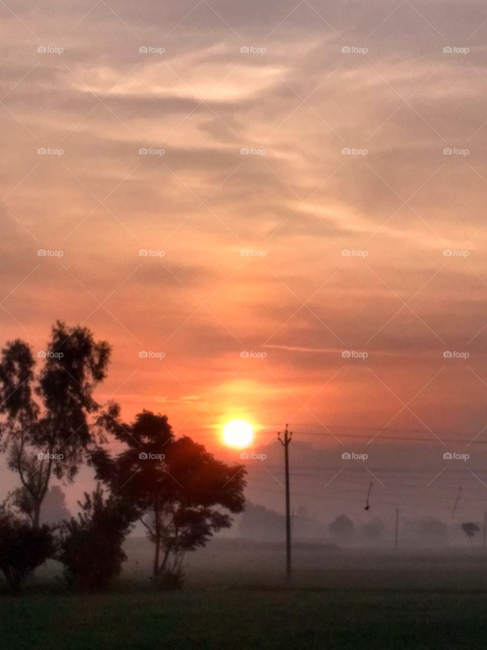 Sun light Sky Nature Morning time view