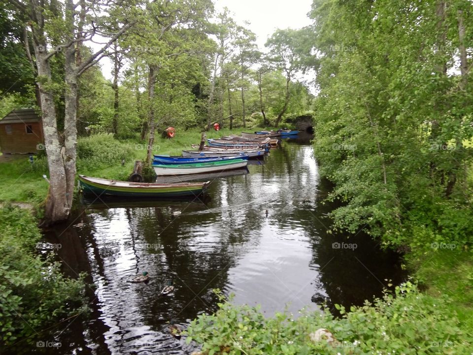 Killarney rowboats