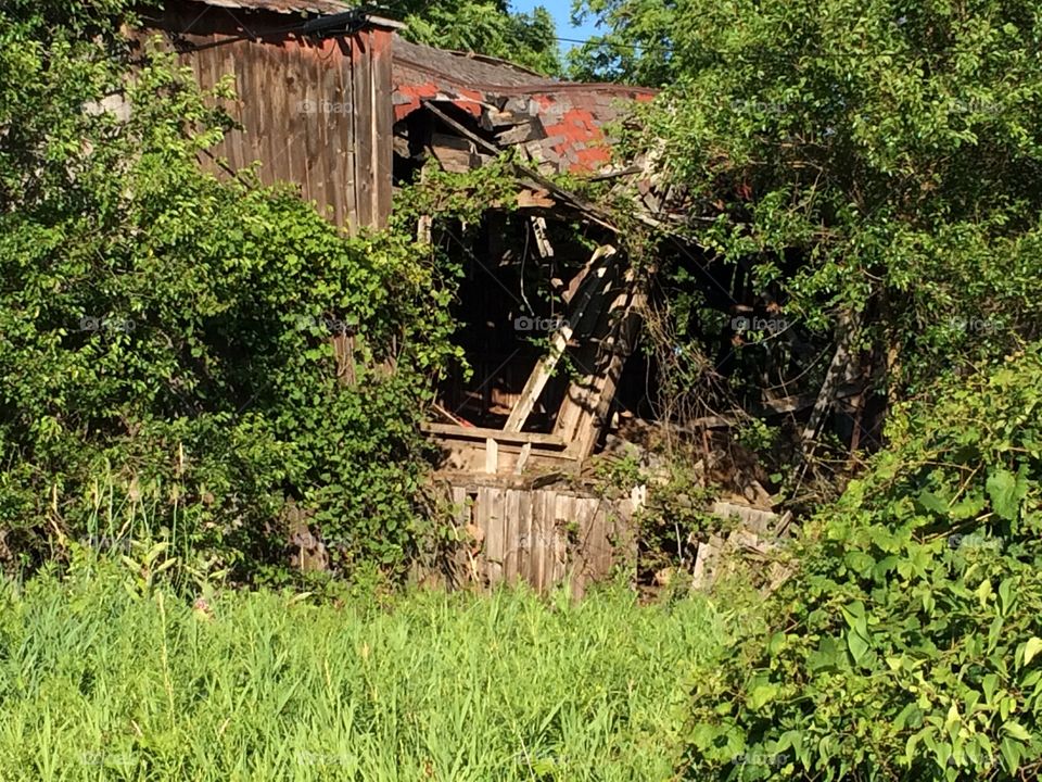 Decayed barn 