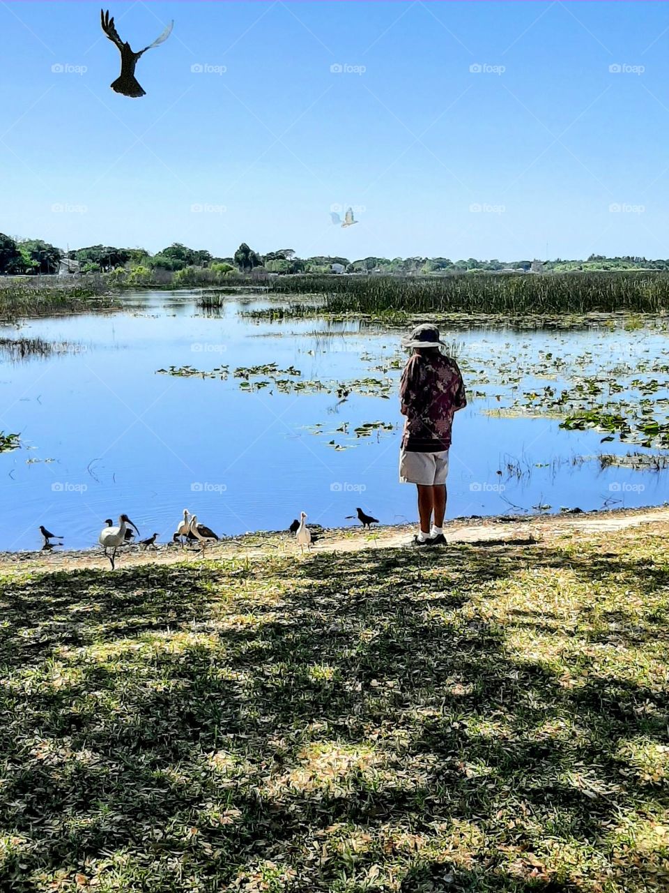 A man stand watching the birds around the lake shore in peacefulness.