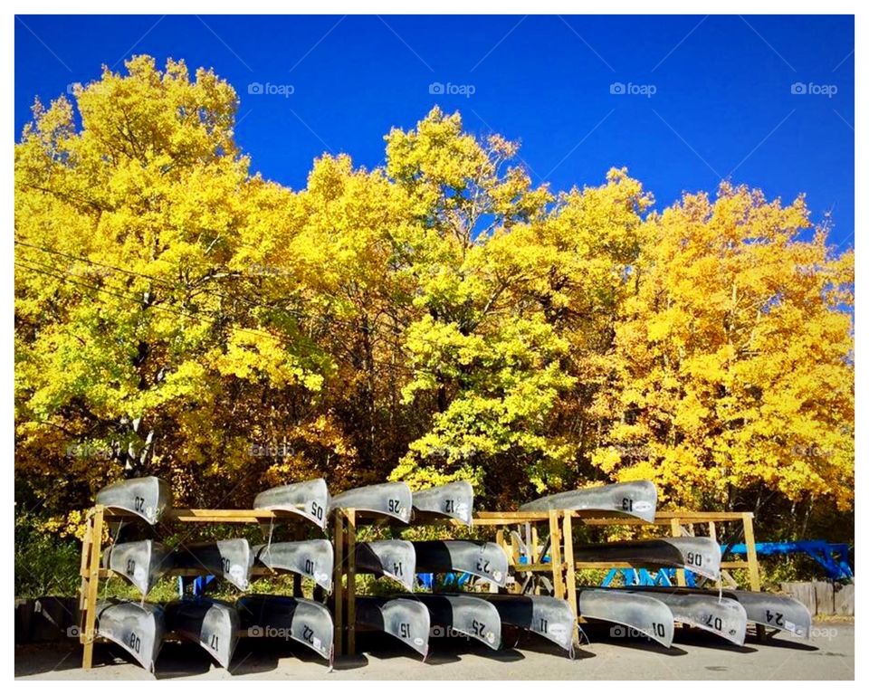 Canoes in Fall
