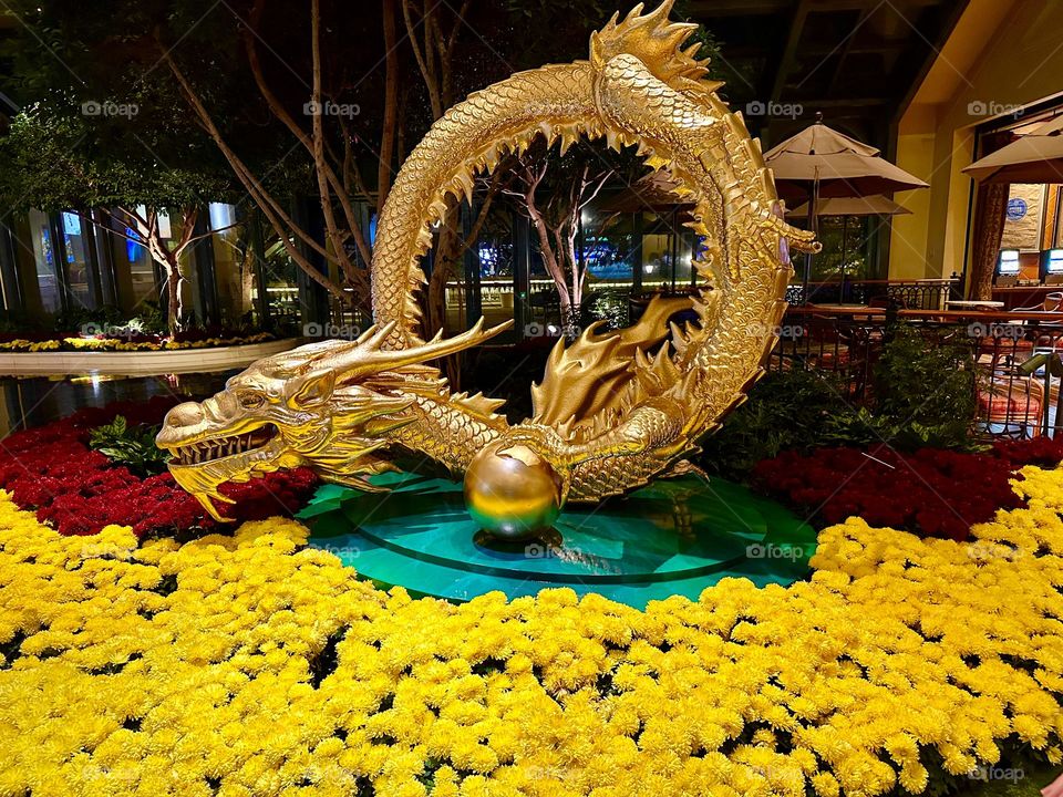 Golden Dragon Statue associated with Chinese New Year - Such statues are often used as decorations in homes, businesses, and public spaces to attract good luck and positive energy. 