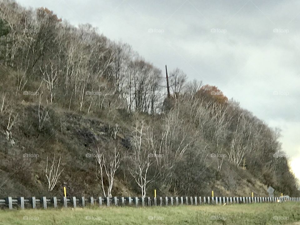 Dormant trees on the side of a mountain in Northern Pennsylvania 