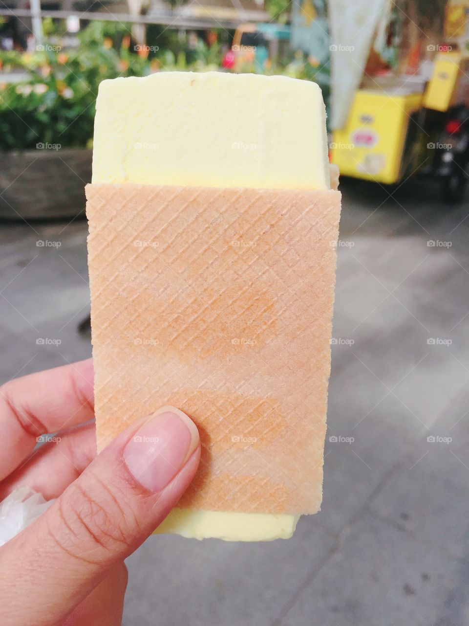 Durian ice cream sandwich