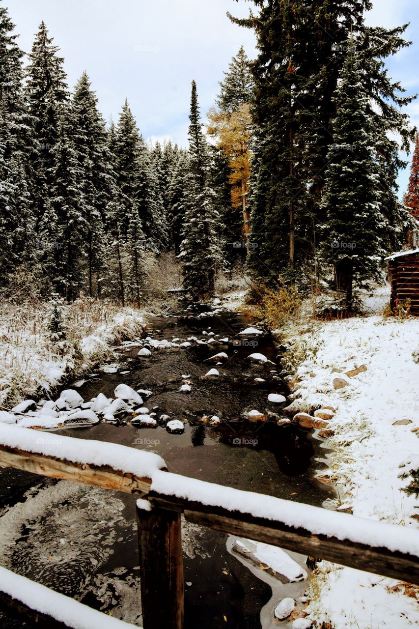 Snowy Mountain Stream