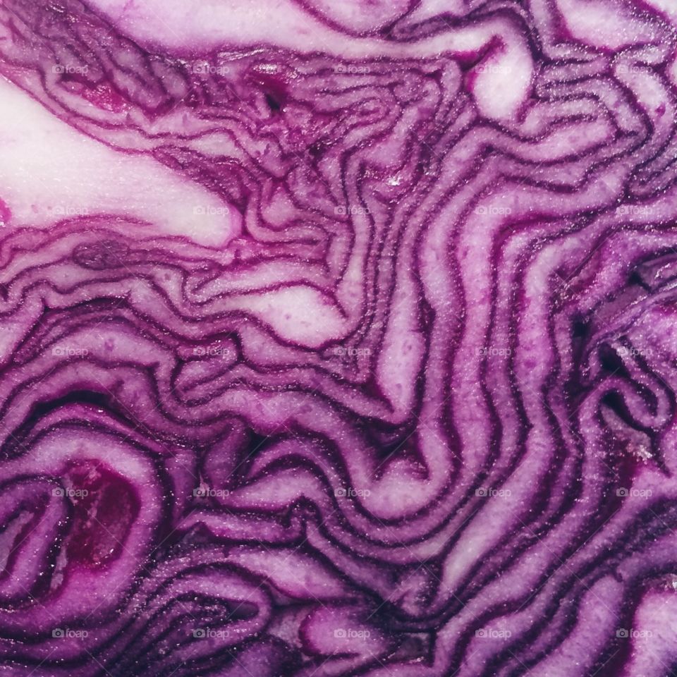 Cabbage