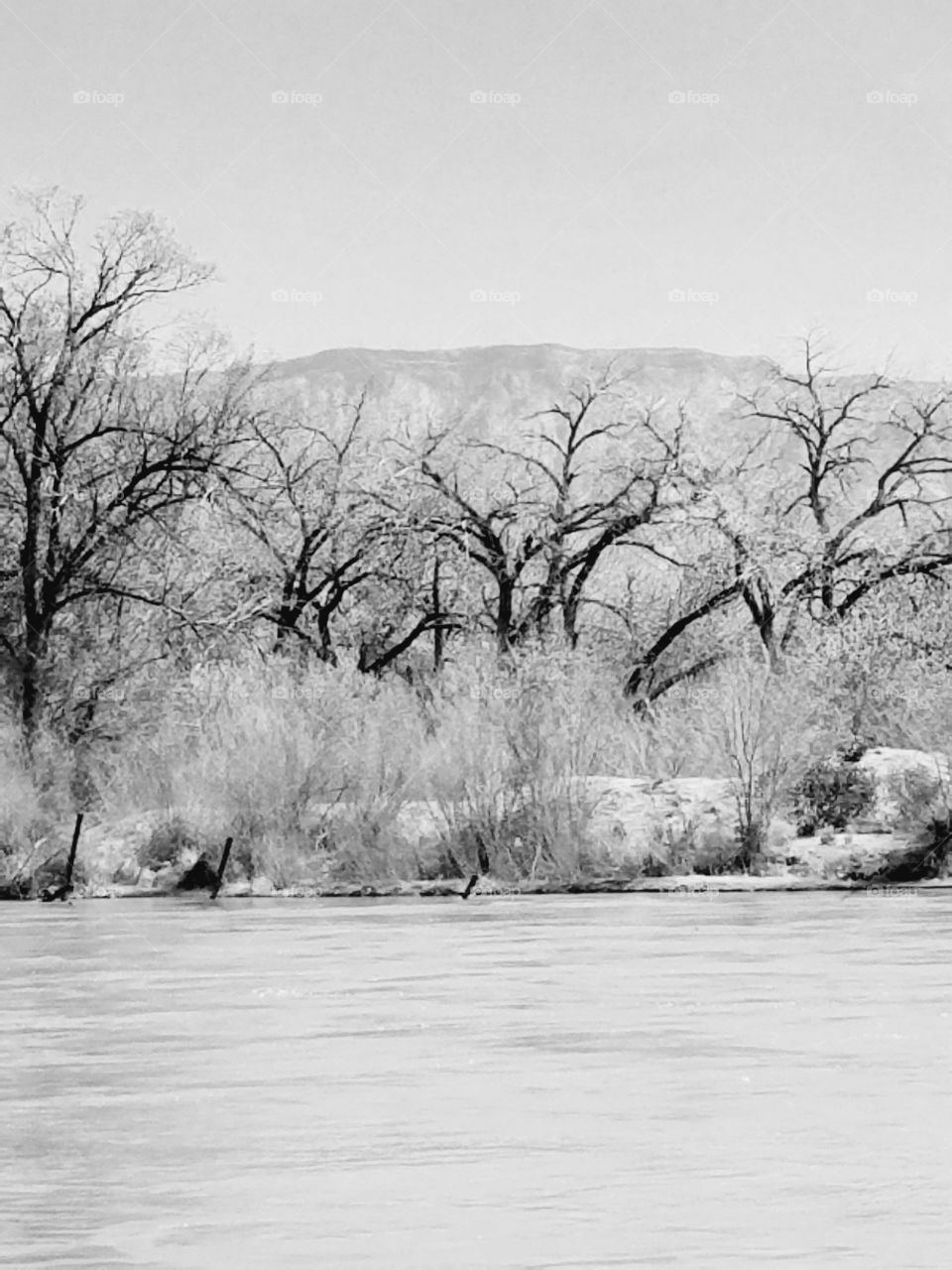 Albuquerque,  New Mexico