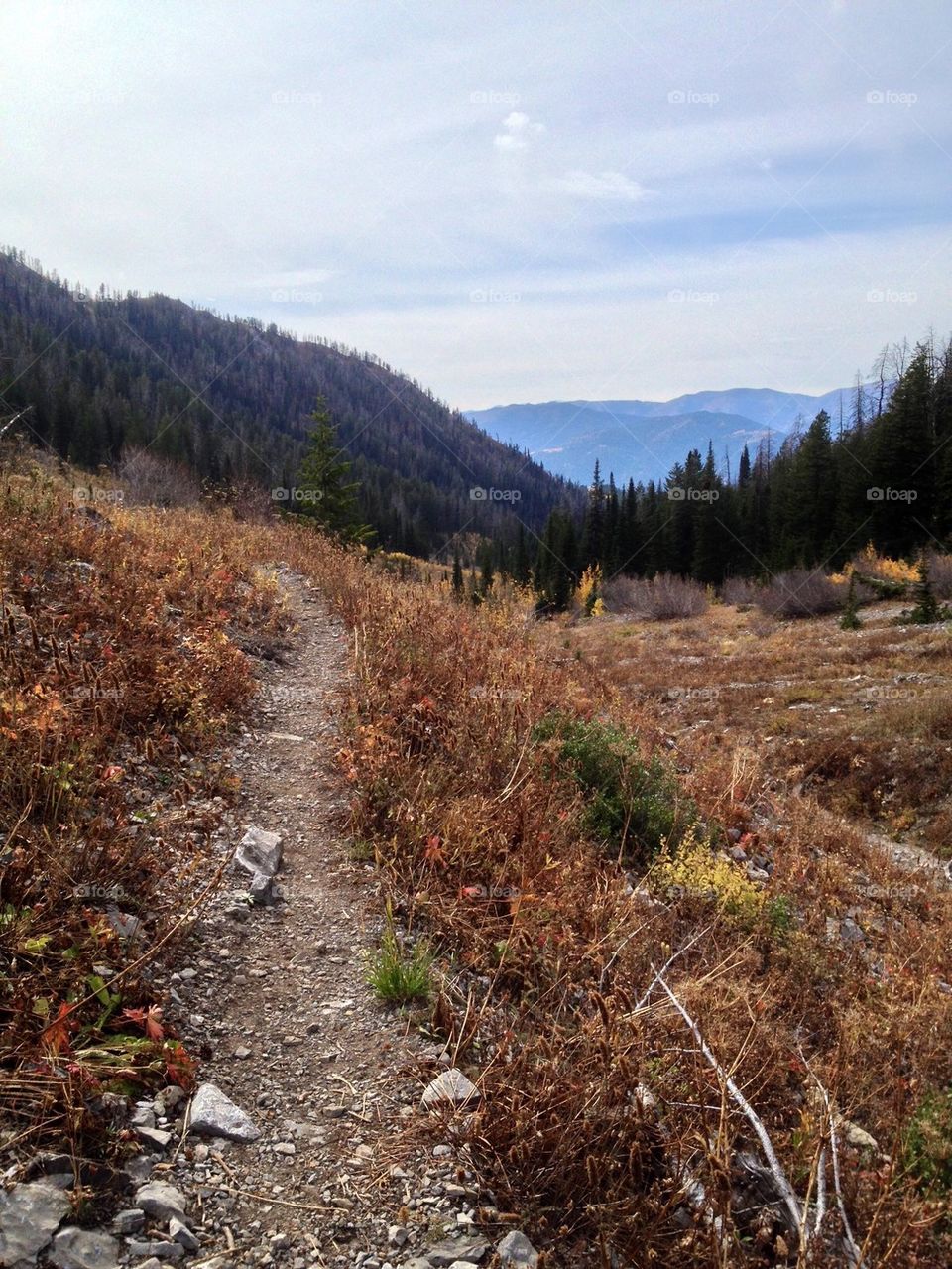 Teton trail