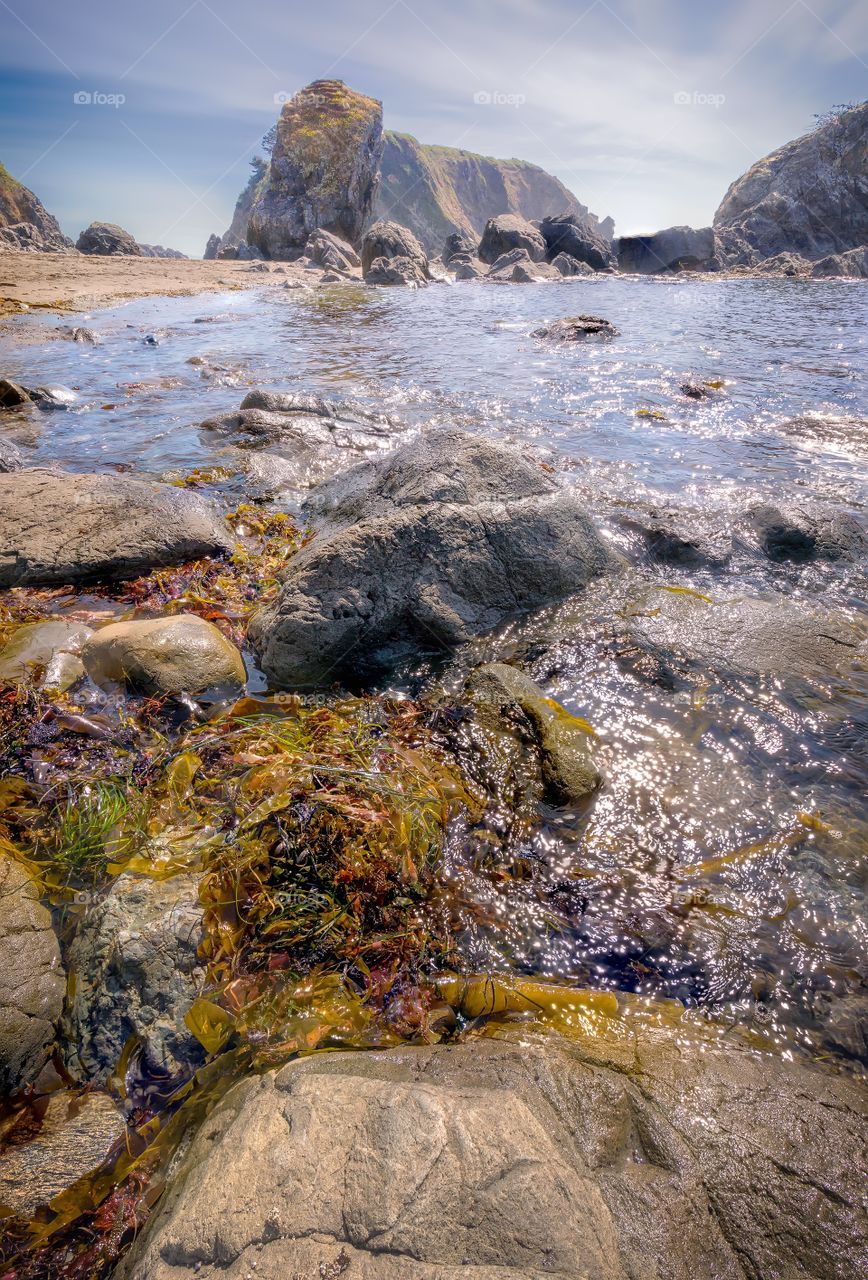 The Beach Near Brookings, Oregon