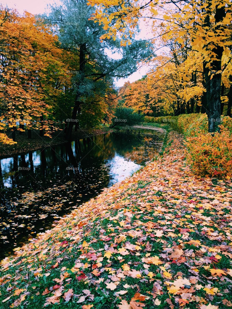 River in the park in the autumn 
