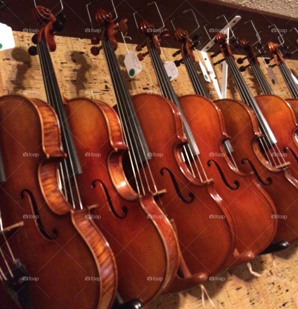 Violins for sale. Violins in music shop