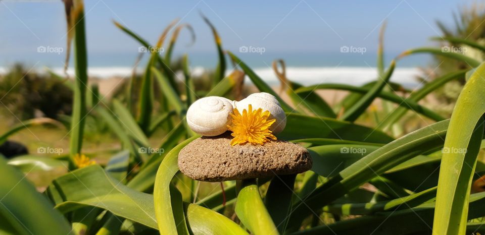 On a colourful spring day