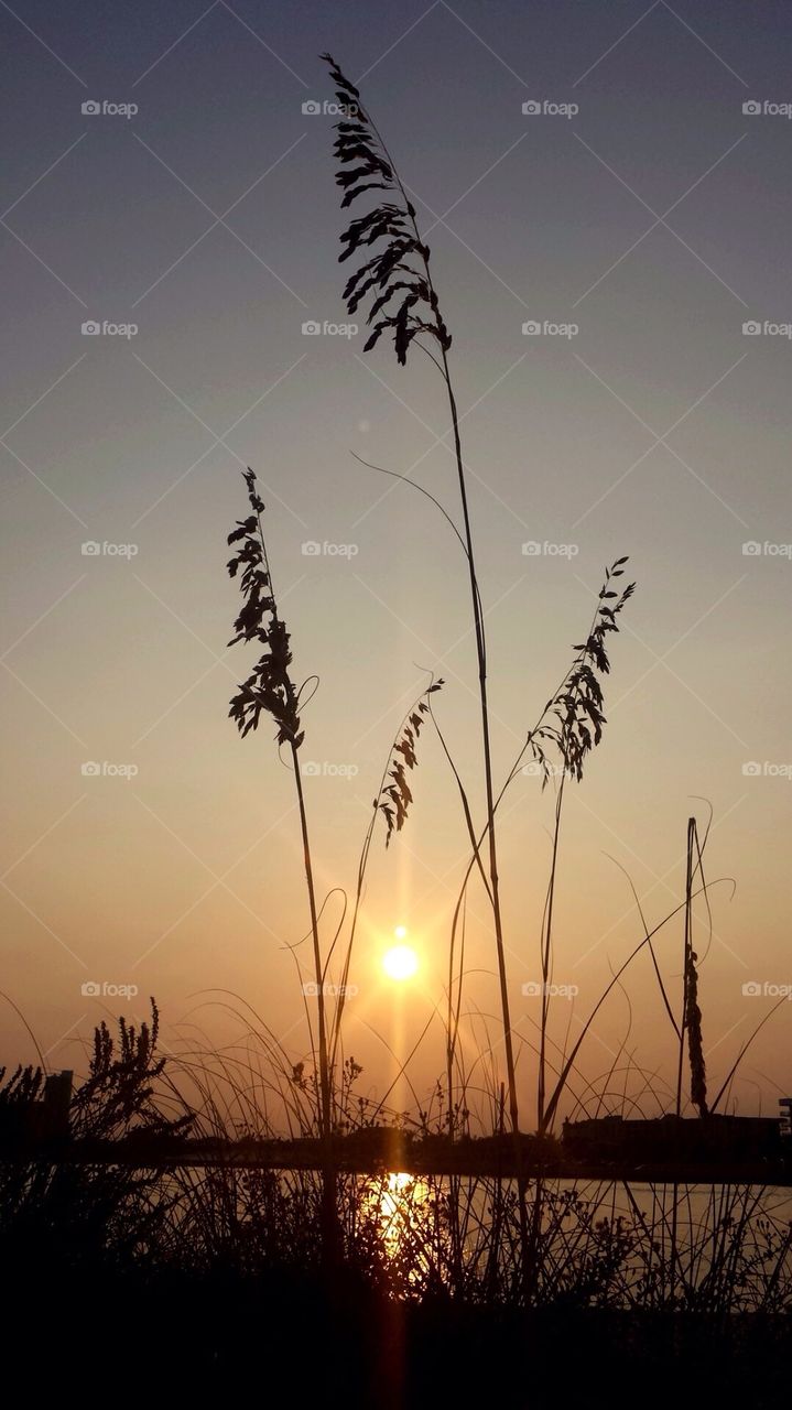 Sunset from Sand Dunes