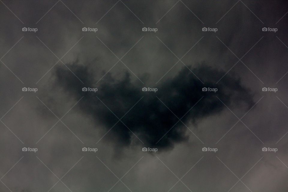 Bat in Clouds
