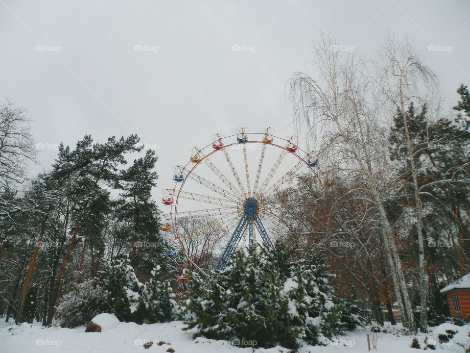 Winter in the city park of the city