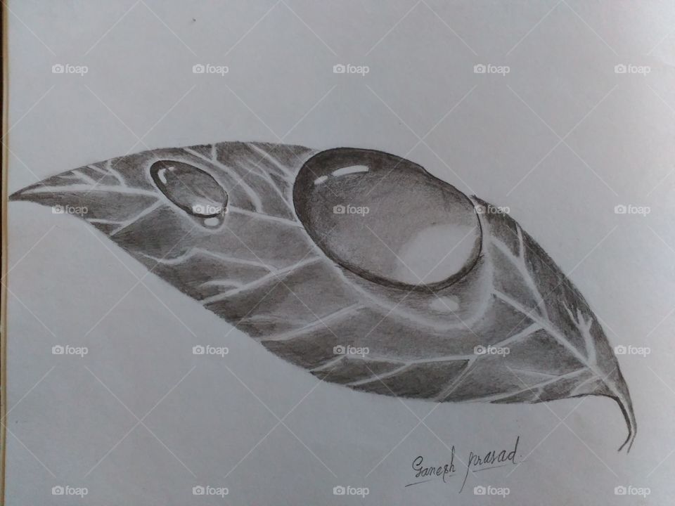 sketch of leaf
sketch of water dripps