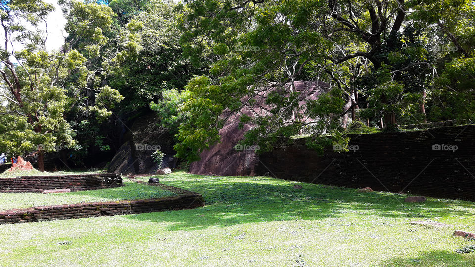 Landscaping in Sigirya- SriLanak