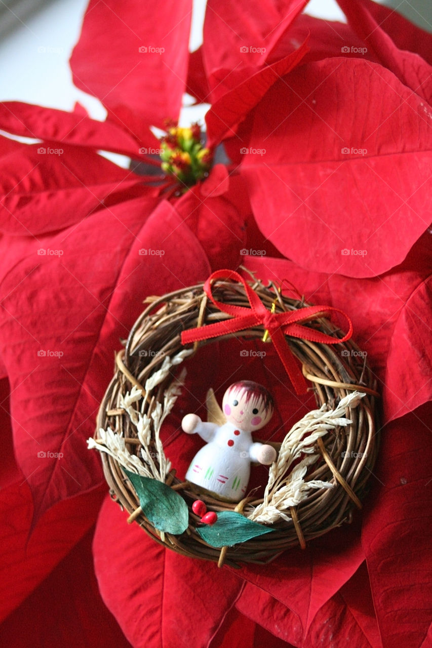 Christmas Angel and poinsettia 