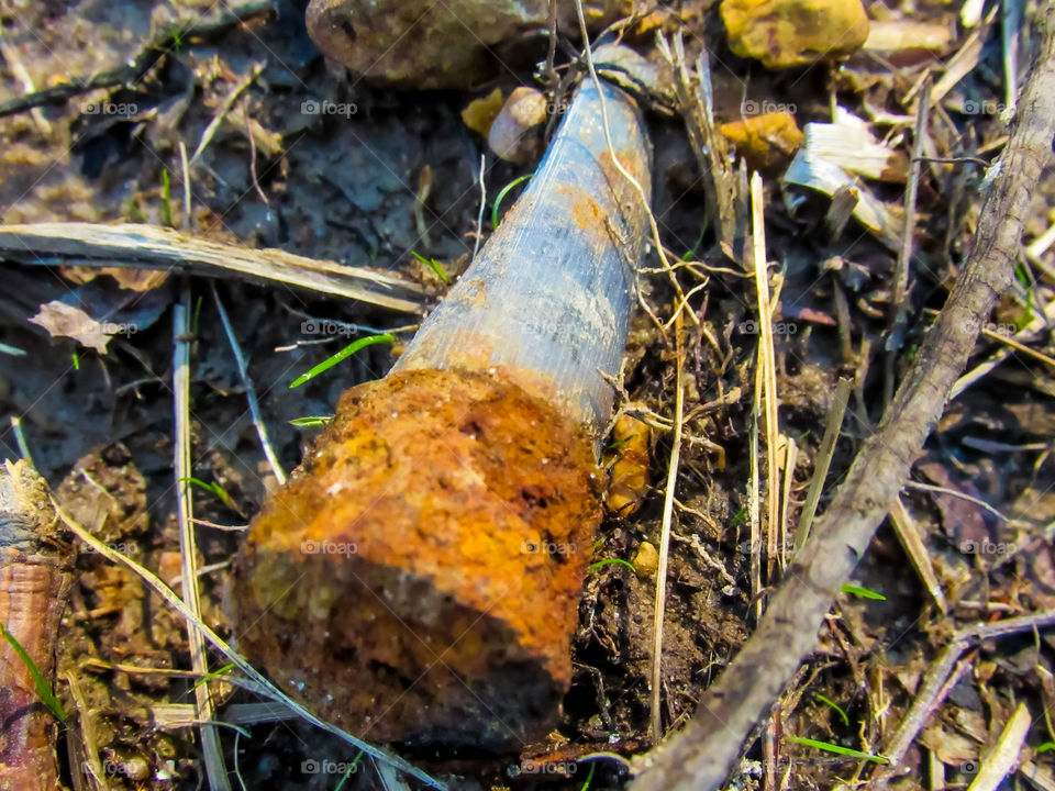 old rusty shot gun shell in dirt