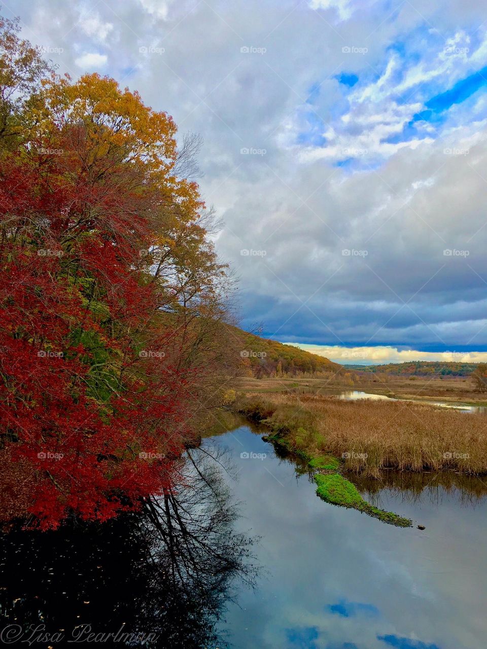 Autumn foliage along the Blackstone River in Uxbridge, MA. New England is known for its lush, vibrant colored foliage during the Fall season. 