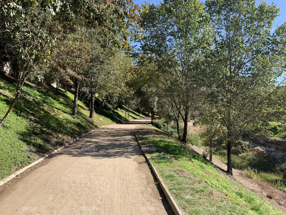 Campo, prado, naturaleza