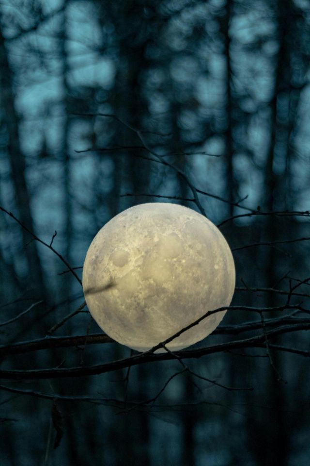 Golden moon