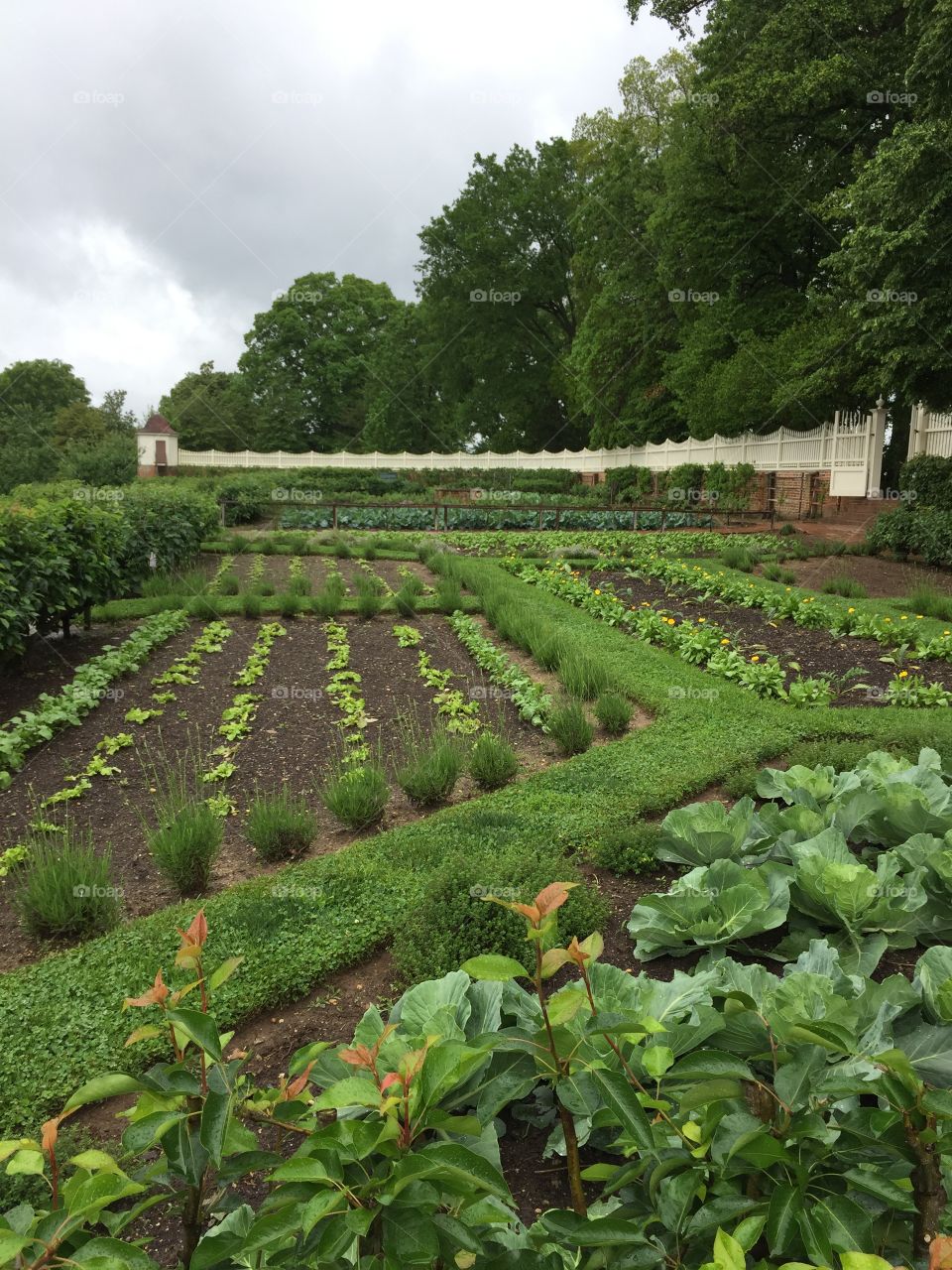 George Washington's one of many gardens. Mount Vernon. VA. 