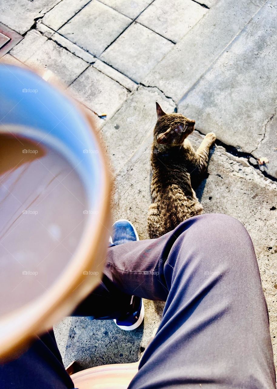 The Fierce Protector