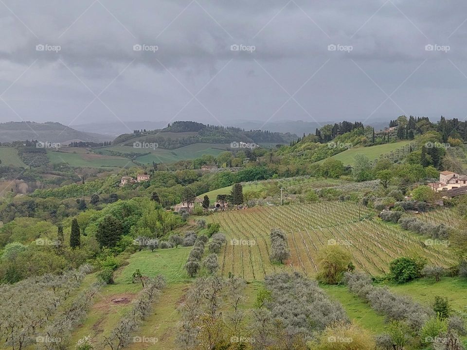 View from the lookout point on the beautiful spring landscape of Tuscany.  Dominance of all shades of green colors