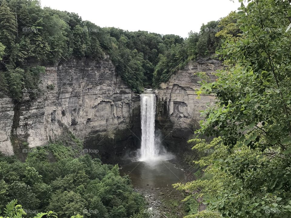 Waterfall in Ulysses, New York