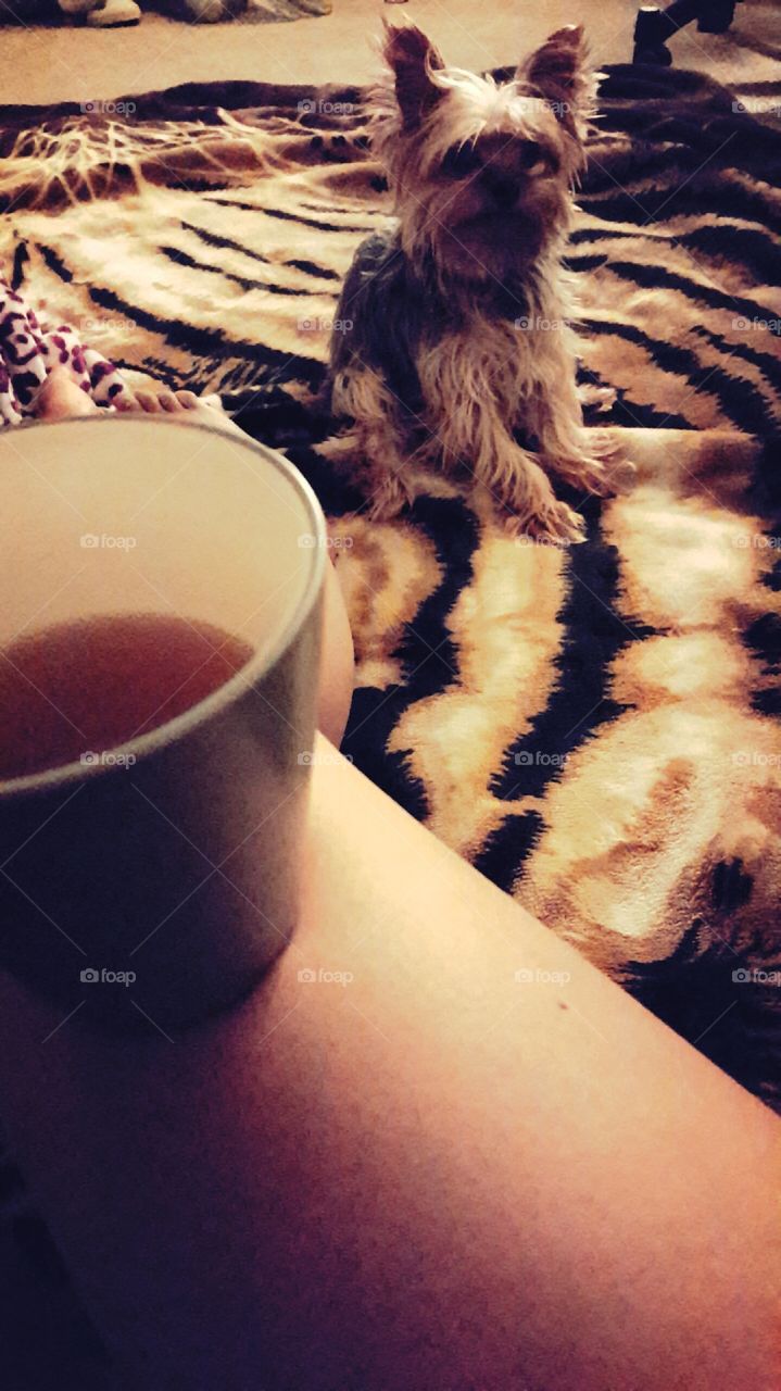 Tea with a side of Chewbacca