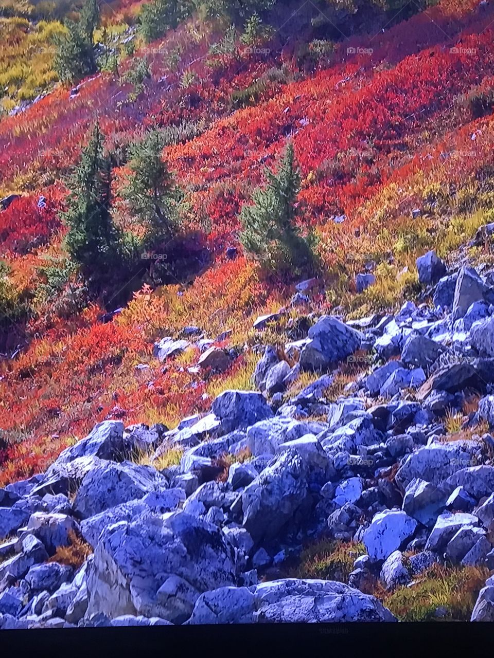 Washington Autumn Park 