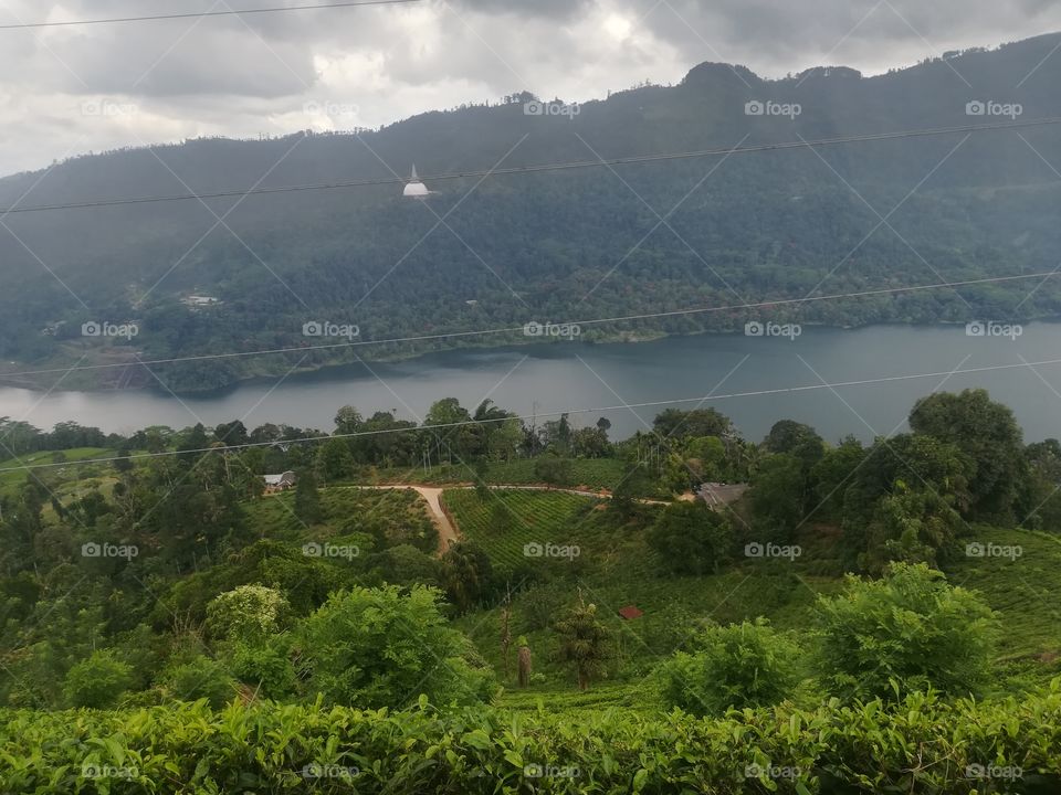 Landscape, Nature, Tree, Water, Mountain