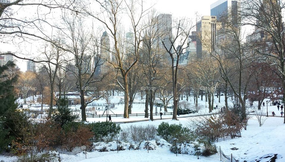 Central Park NYC